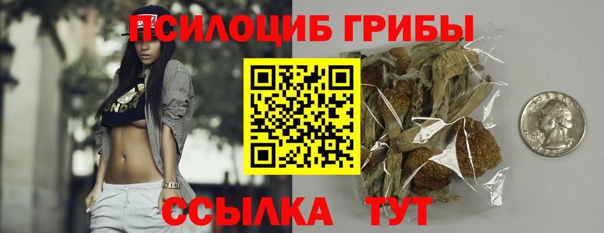 Галлюциногенные грибы мицелий Кулебаки